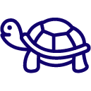 Slow Bandwidth